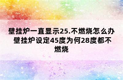 壁挂炉一直显示25.不燃烧怎么办 壁挂炉设定45度为何28度都不燃烧